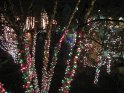 Toledo Zoo Lights 2008 025
